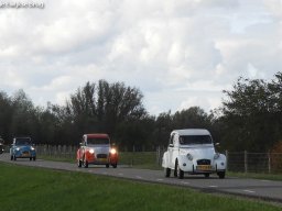 ws 276